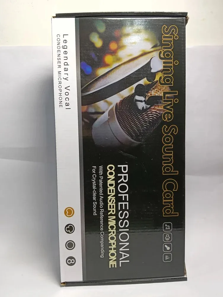 Professional condensor mic