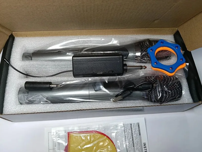 Dual Professional Mic
